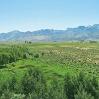 Ruby Mountain Ranch images 2