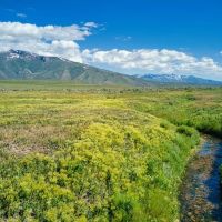 Ruby Mountain Ranch images 5
