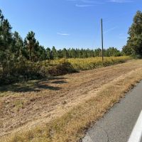 Double Rd frontage wooded home-site