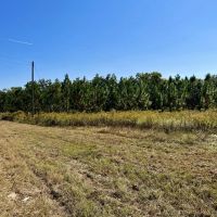 Double Rd frontage wooded home-site images 3