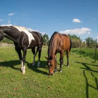 Harney Creek Ranch images 5