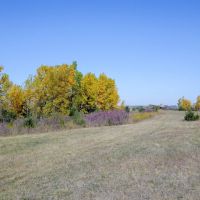Brinkman s Paradise images 2