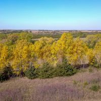 Brinkman s Paradise images 3