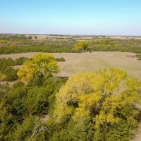Brinkman s Paradise images 4