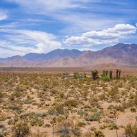 High Desert Pristine Land with Spectacular Views images 3