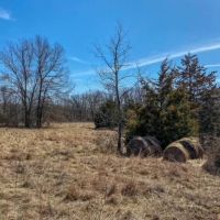 Commercial Potential with Hwy 70 Frontage 68 Ac. S. Svc. Rd. New Florence images 4