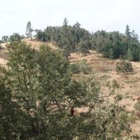 Dawson Sunshine Ranch images 2