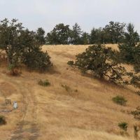 Dawson Sunshine Ranch images 3