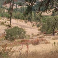 Dawson Sunshine Ranch images 4