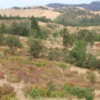 Dawson Sunshine Ranch images 5