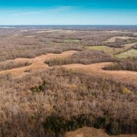 Whitetail 130 images 3