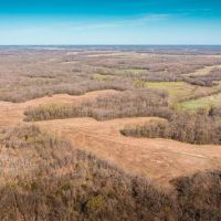 Whitetail 130 images 4