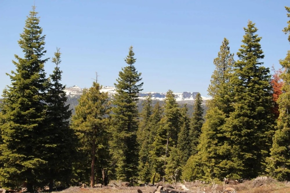 Deer Creek - 152 Acres - NF-348 Road Road 212 Paisley Oregon featured image