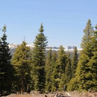 Deer Creek - 152 Acres - NF-348 Road Road 212 Paisley Oregon