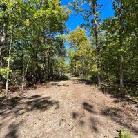 175 - Ac. Bobwhite Rd. images 4