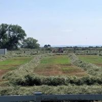 Burns Oregon Horse Ranch on the Silvies River images 5