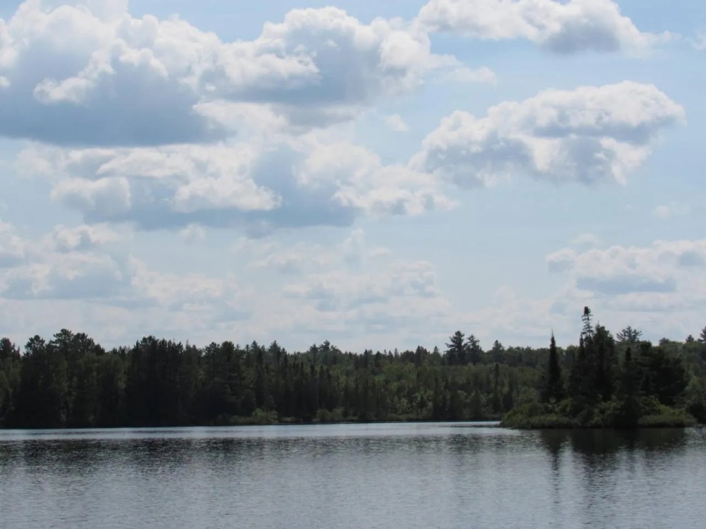 Two Michigan Inland Lake Properties 10072982 featured image