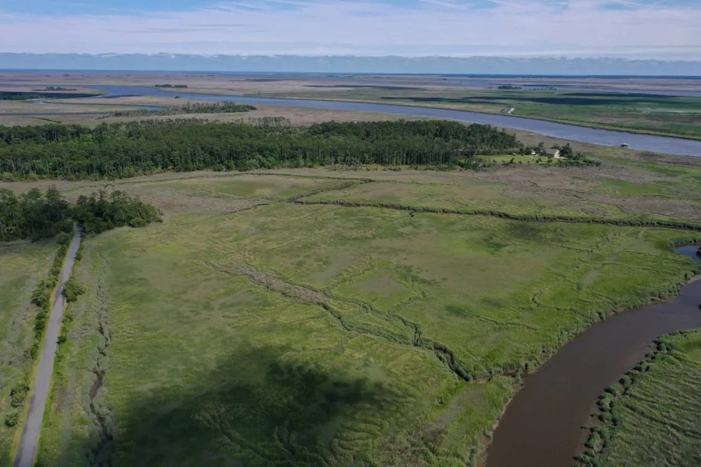 Black Island Waterfront Woodlands featured image