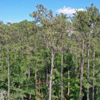 Black Island Waterfront Woodlands images 3