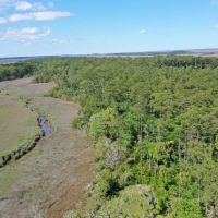 Black Island Waterfront Woodlands images 5