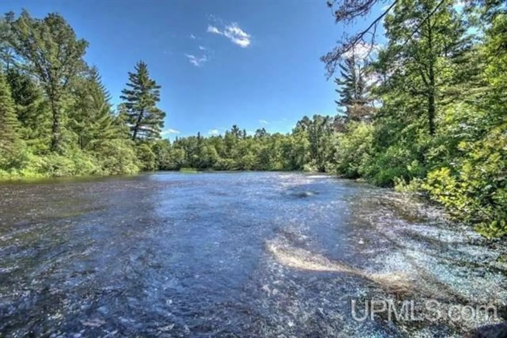 44 Acre River Front Cabin 50084921 featured image