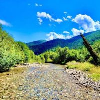 Whitepine Creek Off-Grid Escape images 2