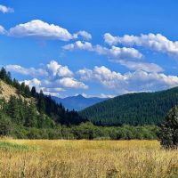 Whitepine Creek Off-Grid Escape images 4