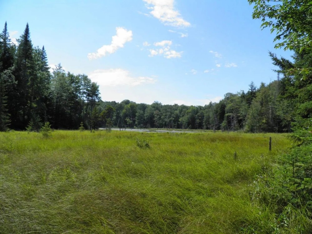 Point Rock Creek Country featured image