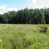 Point Rock Creek Country images 2