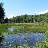 Point Rock Creek Country images 3
