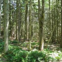Point Rock Creek Country images 4