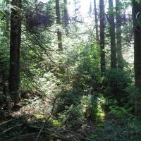 Point Rock Creek Country images 5
