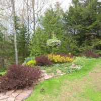 Superior Solitude - Lake Superior 50076835 images 4