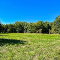 309 - Ac. Bobwhite Rd. images 5