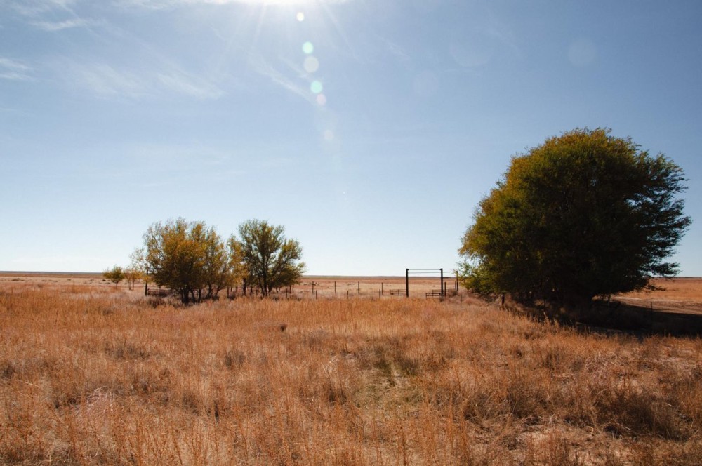 Turner Ranch featured image