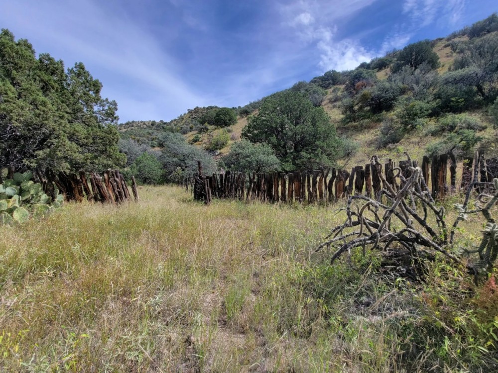 Dusty Boots Ranch featured image