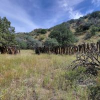 Dusty Boots Ranch