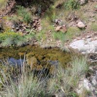 Dusty Boots Ranch images 4