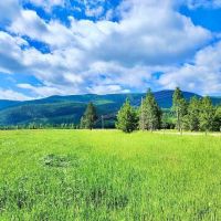 Western Montana Meadow images 5