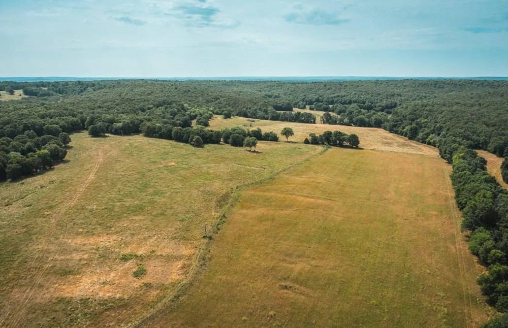 Camden County Longhorn Ranch featured image