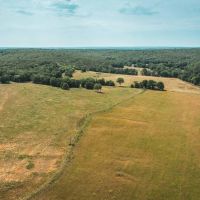 Camden County Longhorn Ranch