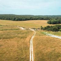 Camden County Longhorn Ranch images 3
