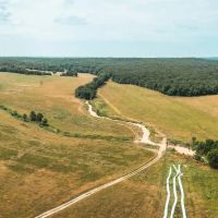 Camden County Longhorn Ranch images 4