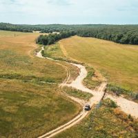 Camden County Longhorn Ranch images 5