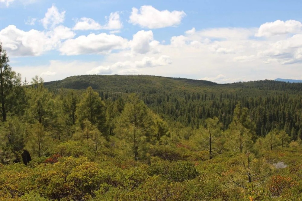 Quartz Mtn. Pass - 157.86 acres - Lakeview Oregon featured image