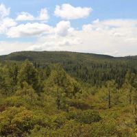 Quartz Mtn. Pass - 157.86 acres - Lakeview Oregon