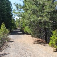 Quartz Mtn. Pass - 157.86 acres - Lakeview Oregon images 2