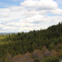 Quartz Mtn. Pass - 157.86 acres - Lakeview Oregon images 3