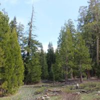 Quartz Mtn. Pass - 157.86 acres - Lakeview Oregon images 4