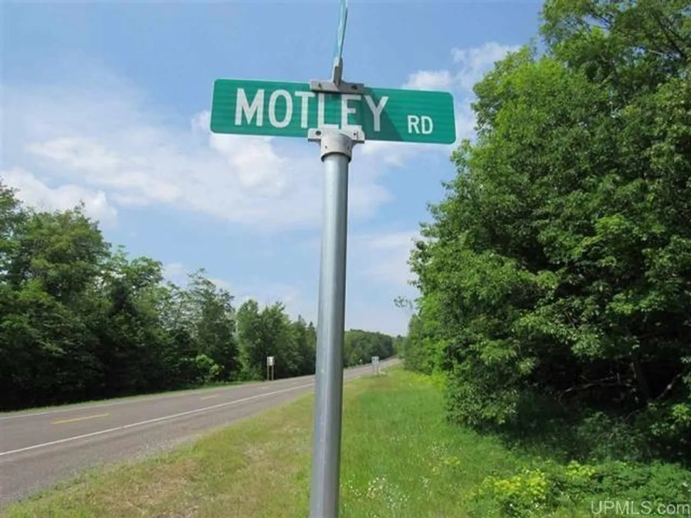 40 - 100 Wooded Acres 10073360 featured image